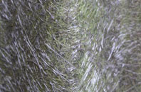 Llangyfelach fibreglass roof work